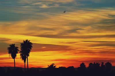 Low angle view of silhouette trees against sky during sunset