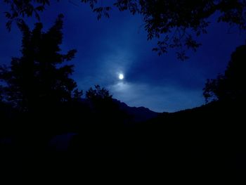 Low angle view of silhouette trees against sky at night