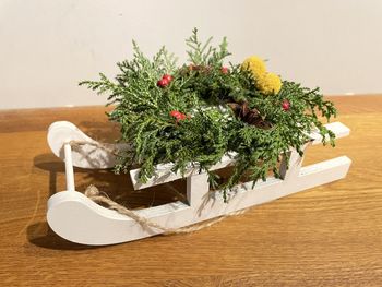 High angle view of flowers on table