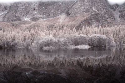 Scenic view of lake