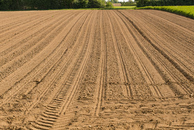 Tire tracks on field