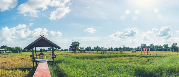 Scenic view of field against sky