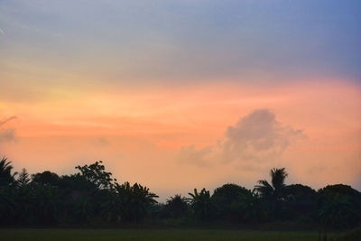 Scenic view of trees against sky during sunset