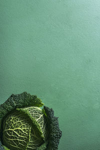 Directly above shot of vegetable against colored background
