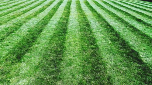 Full frame shot of green field