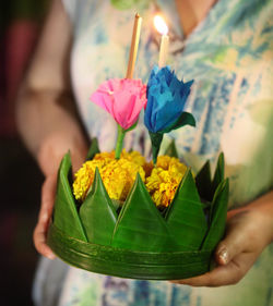 Close-up of hand holding flowering plant