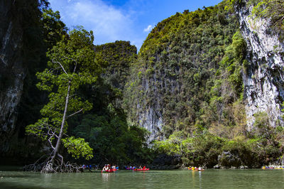 Scenic view of river amidst trees