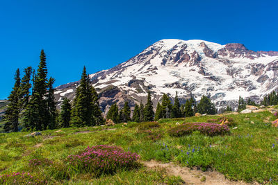 Scenic view of mountains against clear blue sky