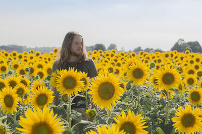 Close-up of man in sunflower field