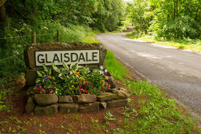 Information sign by road in forest