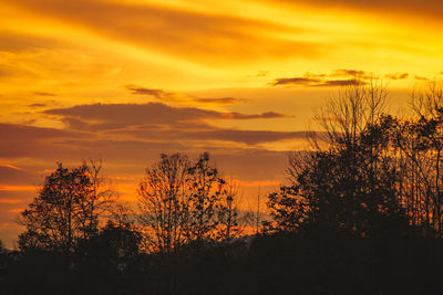 Silhouette trees against dramatic sky during sunset