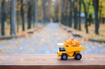 Toy car on table by road during autumn