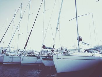 Sailboats moored on harbor against sky