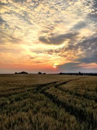 Scenic view of field against sky during sunset