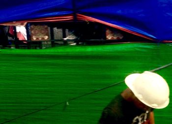 View of green landscape