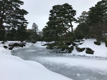 Trees on snow covered landscape against sky