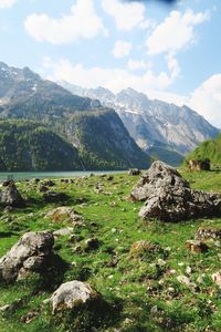 Scenic view of landscape against sky