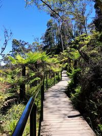 Walkway amidst trees against clear sky