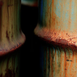 Close-up of rusty barrels