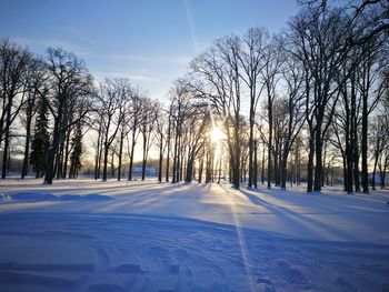 Bare trees on snow covered field against sky during sunset