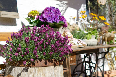 Close-up of purple flower pot for sale