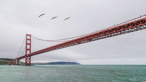 Low angle view of suspension bridge over sea