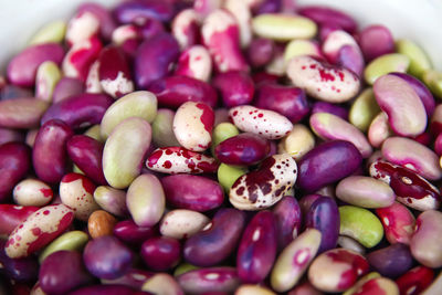 Purple beans background. background of many grains of dried beans. brown beans texture. food