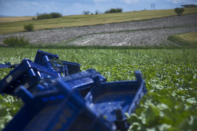 View of agricultural field