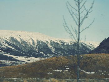 Snow covered landscape