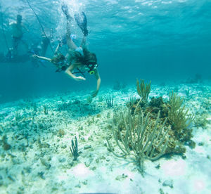 Man swimming in sea