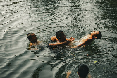 High angle view of men swimming in water