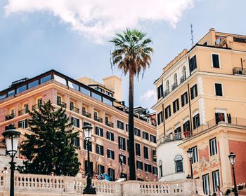 Low angle view of palm trees and building against sky