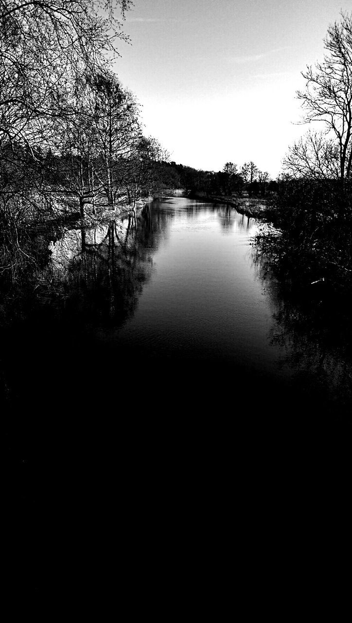 tree, water, tranquility, tranquil scene, clear sky, reflection, scenics, river, beauty in nature, lake, nature, bare tree, sky, silhouette, calm, branch, idyllic, no people, outdoors, non-urban scene