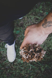 Low section of man holding flowers while standing on field