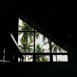 Silhouette trees seen through window