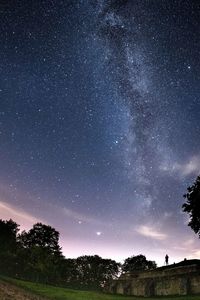 Low angle view of silhouette trees against sky at night