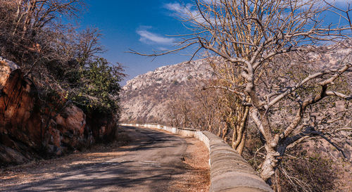 Dirt road amidst trees against sky