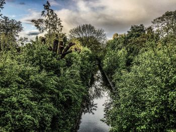 Scenic view of landscape against cloudy sky