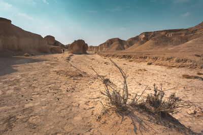 Scenic view of desert against sky
