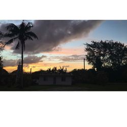 Silhouette palm trees against sky during sunset