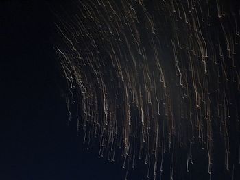 Low angle view of fireworks against sky at night