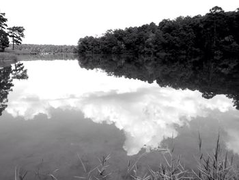 Reflection of trees in water