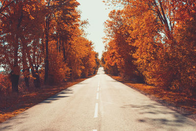 Empty road along trees during autumn