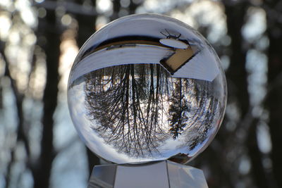 Close-up of crystal ball on glass