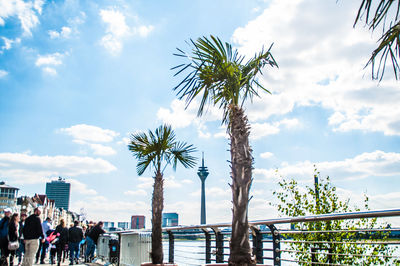 Panoramic view of trees against sky in city