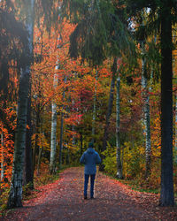 Rear view of man walking in forest during autumn