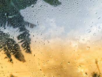 Portrait of water drops on the windshield