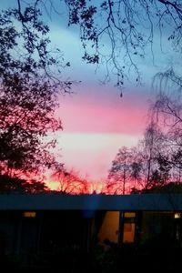 Silhouette of trees against sky at sunset