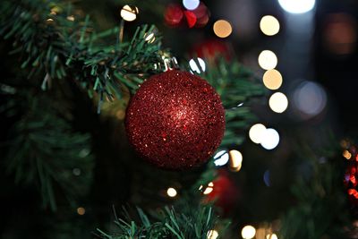 Close-up of christmas decorations hanging on tree