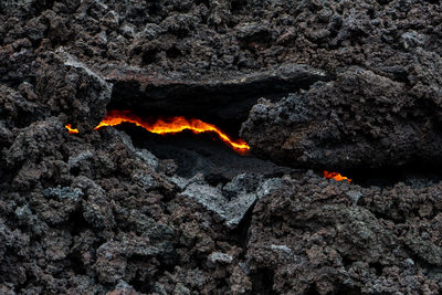 Close-up of bonfire